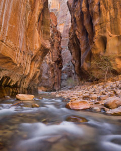 Virgin River, Narrows, Schlucht, Zion National Park, Utah, USA Virgin River, Narrows, Schlucht, Zion National Park, Utah, USA